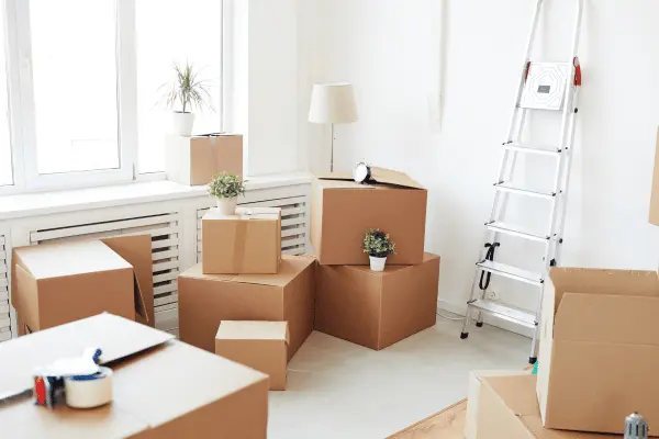 demenagement avec carton fourni dans le 69400