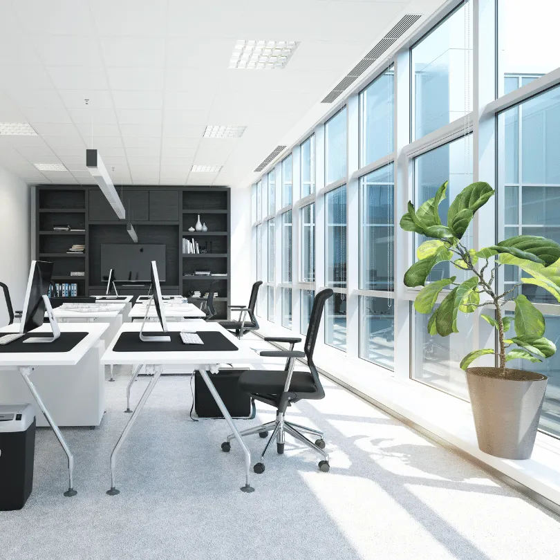 déménagement lyon de bureaux